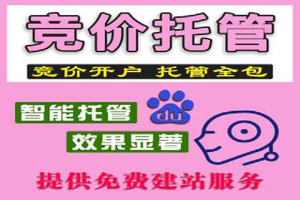 SEM托管优化实战：打造行业领先广告效果